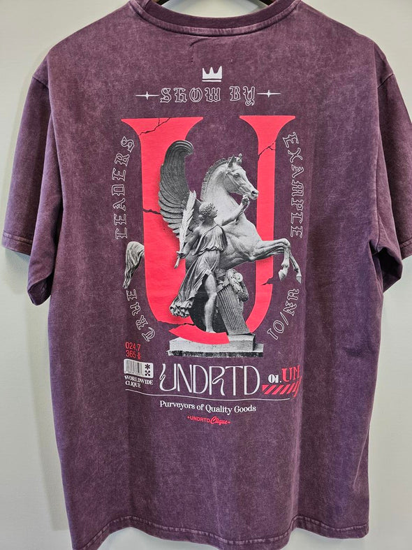 Highly Undrtd True Leaders Washed Tee (Plum)